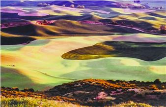Philip Kollen ''View from Steptoe Butte'' 2010 Color Photograph Framed 19''x24'' - Philip Kollen