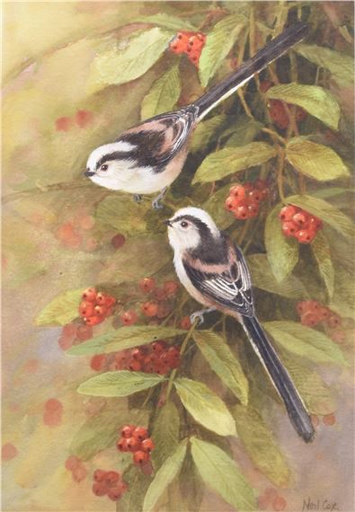 Longtailed Tits in a Berry Bush by Neil Cox