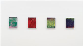 Ilse D’Hollander: The Color of Shadows - Sean Kelly, New York
