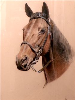 HORSE IN BRIDLES - Gray (20th Century)