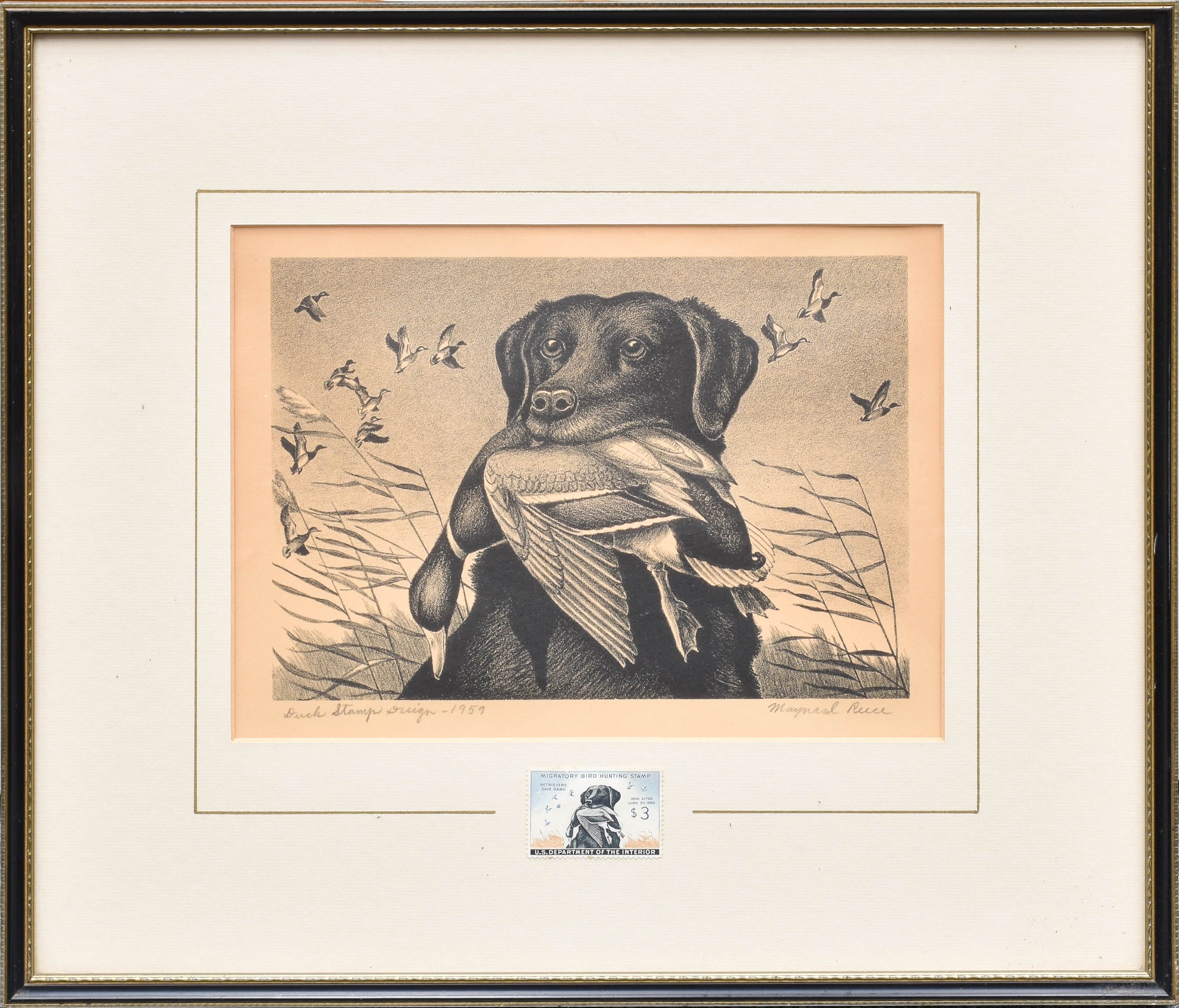 Maynard Reece | Duck Stamp Design, 1959 (1959) | MutualArt