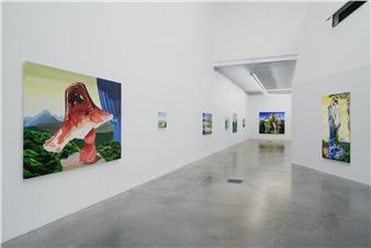 Ilke Cop: Hardcore / Softspore - Galerie Tatjana Pieters