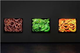 Exhibition Features Eleven Pigment Prints from Guido Mocafico's Serpens Series