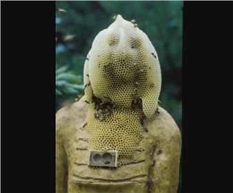 Breath(e): Toward Climate and Social Justice