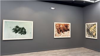 Luis Paredes: Archivos Del Antropoceno - Diana Lowenstein Gallery