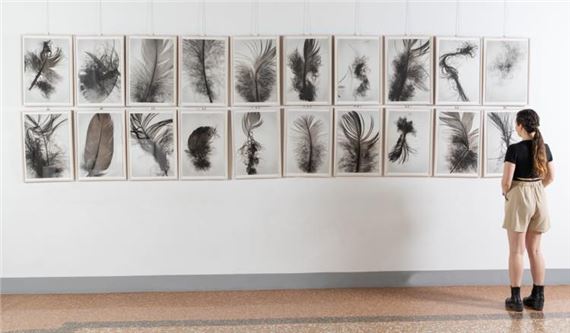 Penas - Francisco Tropa