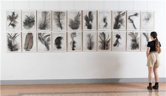 Penas - Francisco Tropa