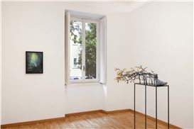 Federico Tosi “Bonsai Riot” at Monica De Cardenas, Milan