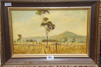 Planes of Zeehan, Tasmania - Murray Bishop