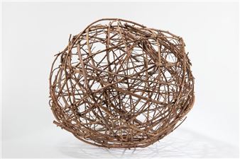 Spora vegetale - Giuliano Mauri