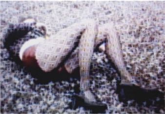 Lars von Trier- Braking The Waves I - Andrej Barov