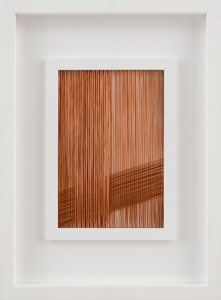 TB3 - Antonella Zazzera