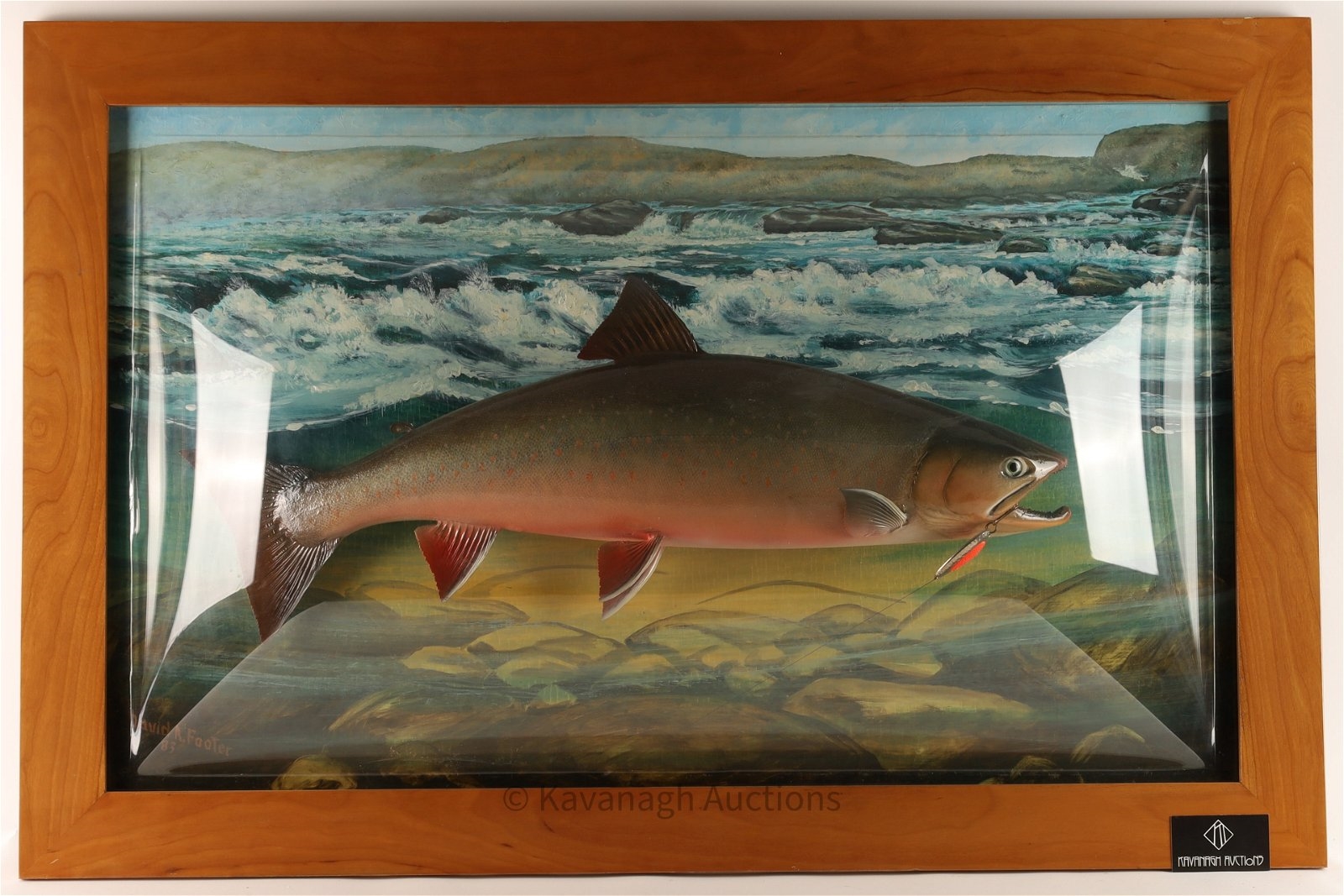 Artwork by David A. Footer, David A. Footer Taxidermy Spotted Brook Trout, Made of Taxidermy