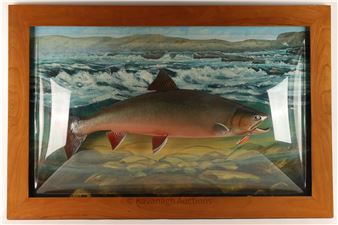 David A. Footer Taxidermy Spotted Brook Trout - David A. Footer