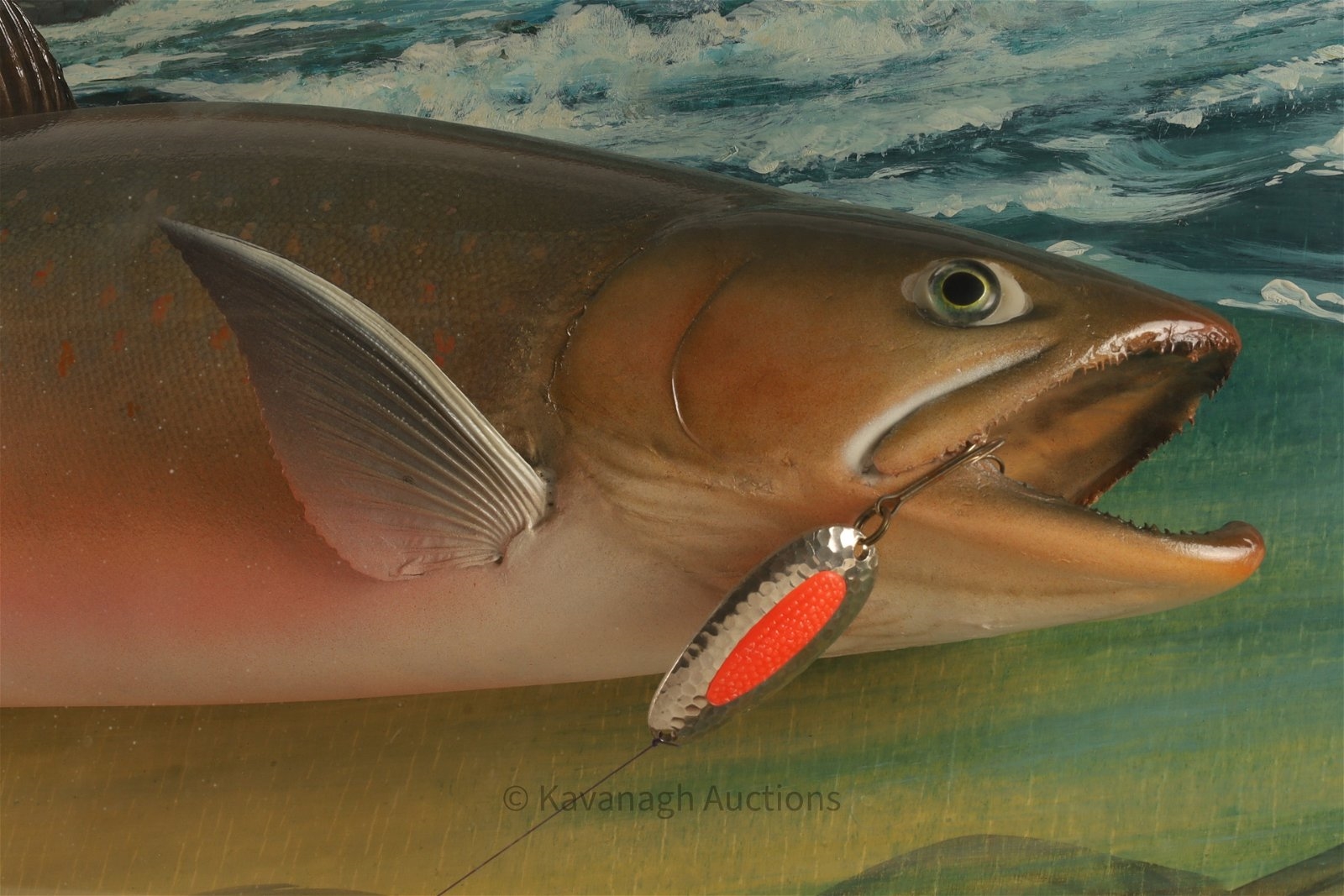 Artwork by David A. Footer, David A. Footer Taxidermy Spotted Brook Trout, Made of Taxidermy