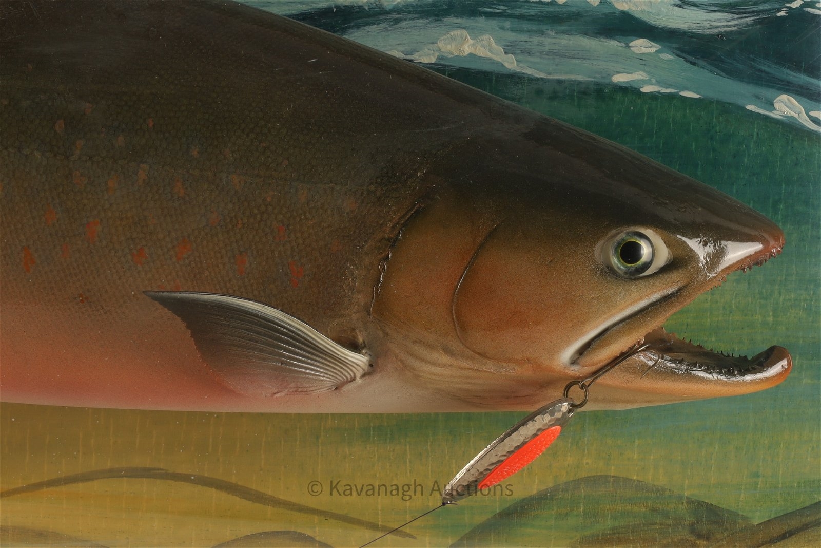 Artwork by David A. Footer, David A. Footer Taxidermy Spotted Brook Trout, Made of Taxidermy