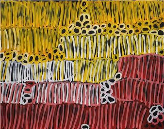 Minnie Pwerle: A Visionary Aboriginal Artist