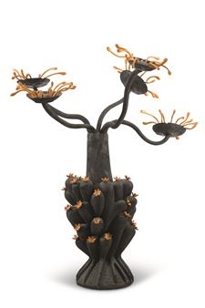 Exotic flowers, 2007 - Cang Xin