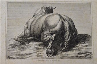 Antique print of a horse - F. Vander Meuten