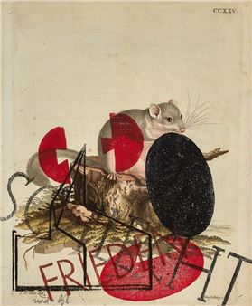 Überarbeiteter Stich:'Schlecht-Frieden ' - Burkhart Beyerle