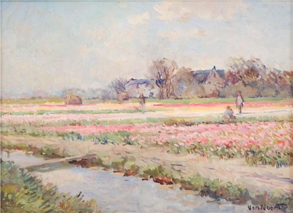 Bollenvelden by Arie C. Van Noort