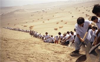 PROA21: Cuando la fe mueve montañas. Francis Alÿs - Proa Foundation