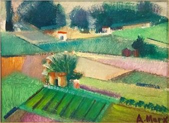 Jardim do campo - Antonio Augusto Marx