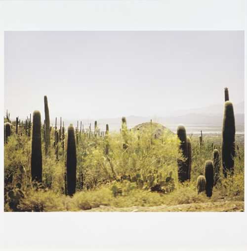 Untitled by Mai-Thu Perret