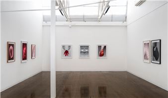 Pat Brassington: I Wake to Sleep, and take my Waking Slow - Arc One Gallery