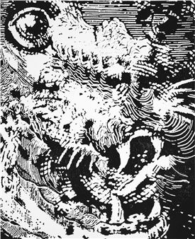 Untitled - Rob Swaintson