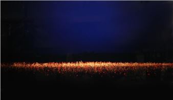 Daniel Sandberg Photograph on Glass Field 11 - Daniel Sandberg