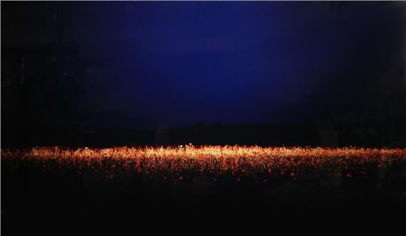 Daniel Sandberg Photograph on Glass Field 11 by Daniel Sandberg, dated 2007