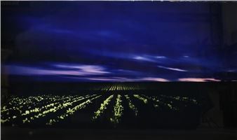 Daniel Sandberg Photograph on Glass Field 4 - Daniel Sandberg