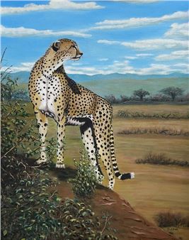 Cheetah surveying the savannah - E.j. Slezak