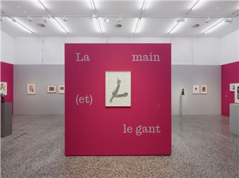 La main (et) le gant - Musée Jenisch