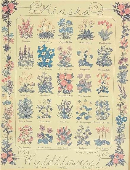 Wildflowers by Carol Dickerson