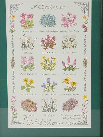 Alaska Wild Berries;Alaska Wildflowers by Carol Dickerson