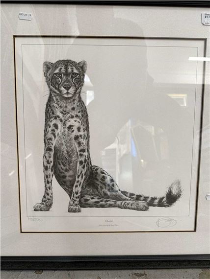 Cheetah by Gary Hodges