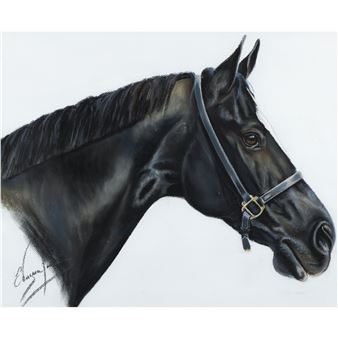 Top - Esperanza Vergara