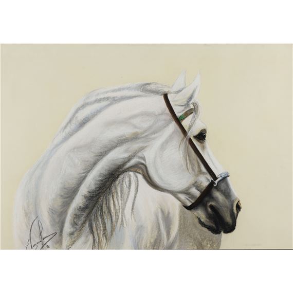 Campeón de feria de Madrid - Esperanza Vergara