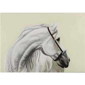 Campeón de feria de Madrid - Esperanza Vergara