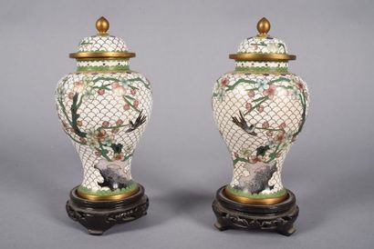 Chinese School, 20th Century | Paire de petits vases en émaux