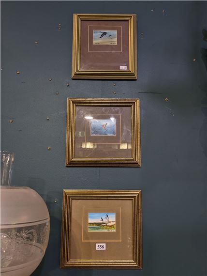 ROB TAYLOR by Rob Taylor