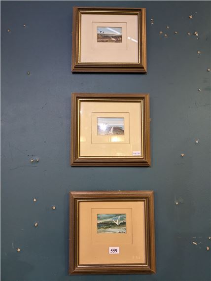 Three original paintings of heron by Rob Taylor