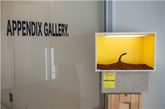 Not As Small As It Seems: A Review of “Security Culture” by Beth Stuart at Appendix Gallery