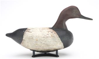 Canvasback - Al Bell