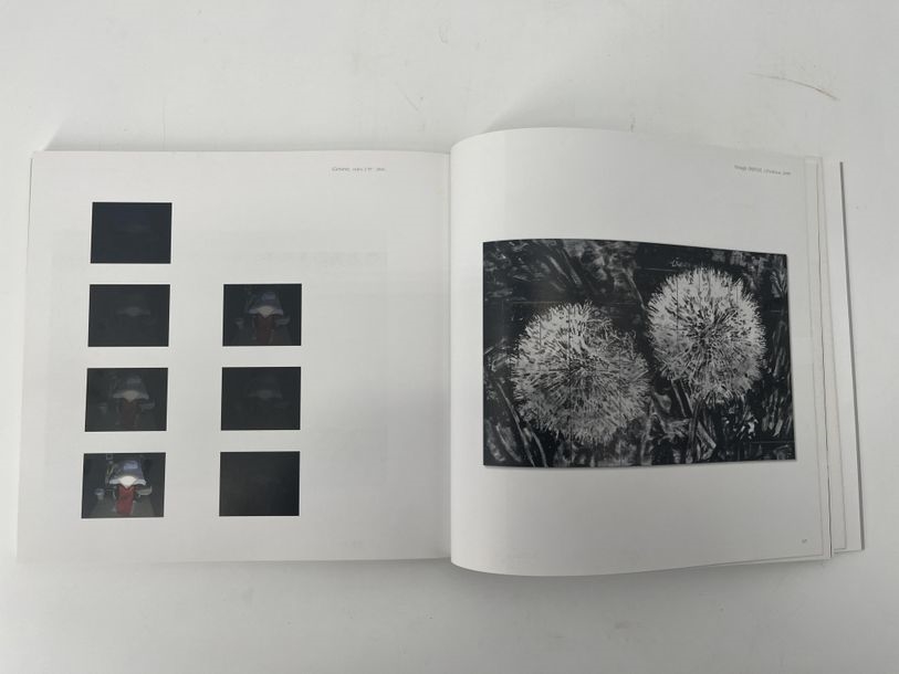 Artwork by Alain Bornain, Dandelions, Made of oil on canvas