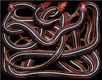 Paul’s Gallery of the Week: Hamiltons Gallery