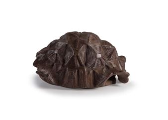 hand-carved zebrano tortoise shell - Laurie Wiid van Heerden