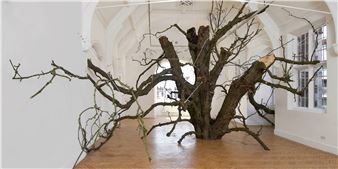 Anya Gallaccio: preserve - Turner Contemporary